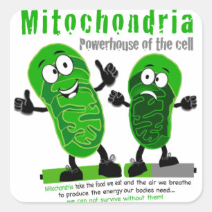 Mitochondria Powerhouse of the Cell Square Sticker