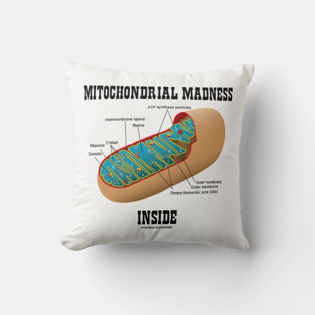 Mitochondrial Madness Inside Mitochondrion Biology Cushion (Front)