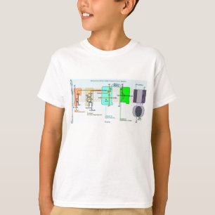 Mitonchondrial Intermembrane Space Diagram T-Shirt