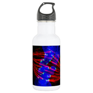 Mitotic Metaphase 532 Ml Water Bottle