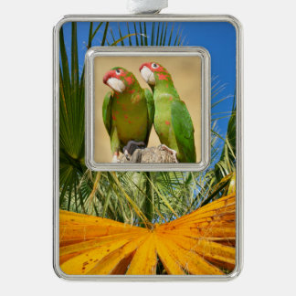 Mitred Parakeet on wood post Postcard Square Stick Silver Plated Framed Ornament