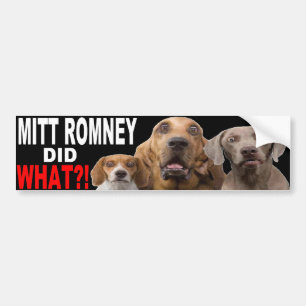 MITT ROMNEY DID WHAT?! Dog On Roof BUMPER STICKER