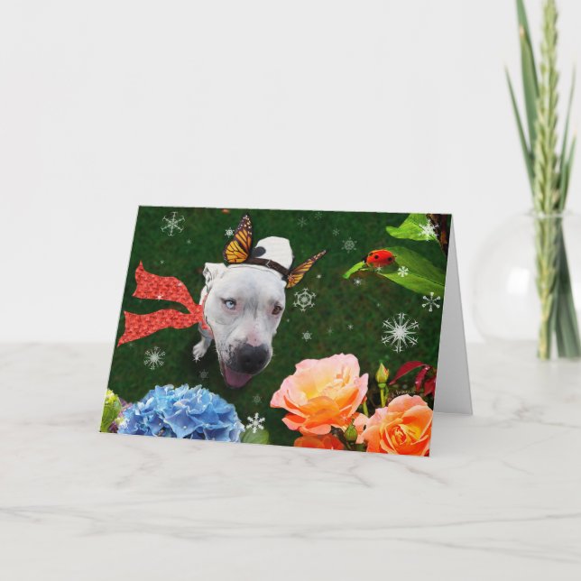 Mitzy the Mariposa, Holiday Greeting Card (Front)