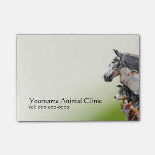 Mixed animals veterinary practice post-it notes