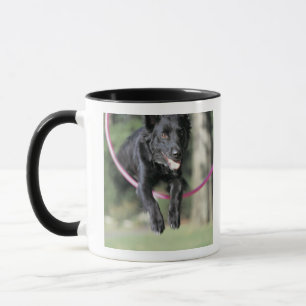 Mixed Border Collie Mug