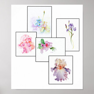 Mixed Bouquet Print