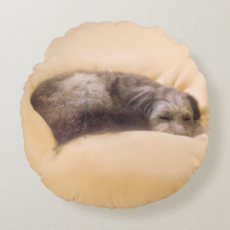 Mixed breed dog and blissful sleep (Yellow) Round Cushion