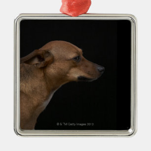 Mixed breed dog profile on black background metal tree decoration