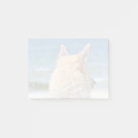 Mixed Breed Dog Sun Sand And Surf