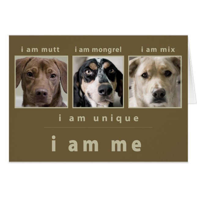 Mixed Breed: I Am Me (Front Horizontal)