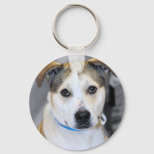 Mixed-Breed Pitbull/Yellow Labrador Keychain