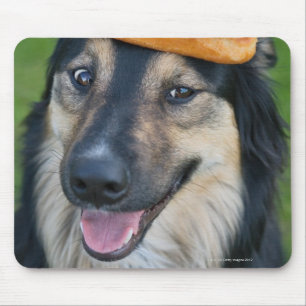 Mixed breed shepherd with doughnut on head mouse pad