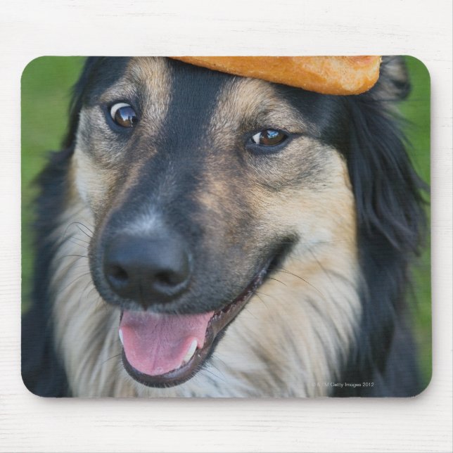 Mixed breed shepherd with doughnut on head mouse pad (Front)