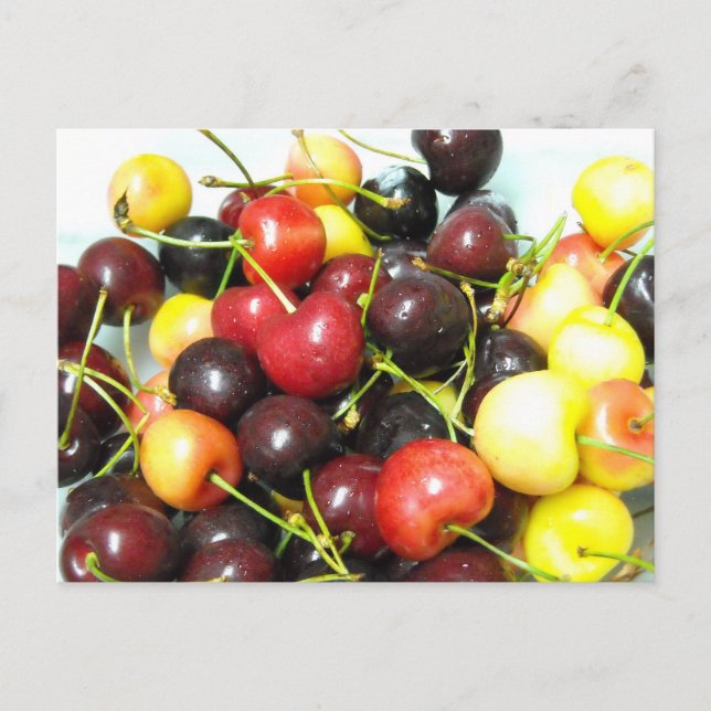 Mixed Cherries Postcard (Front)