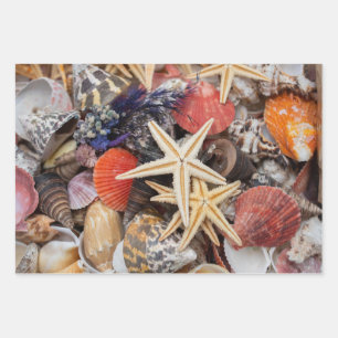 Mixed Colourful Seashells and Starfish Wrapping Paper Sheet