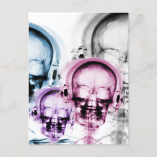 Mixed Colours X-Ray Vision Music Skeleton Skull  Postcard