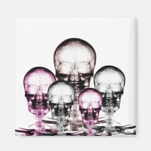 Mixed Colours X-Ray Vision Skeletons Skulls Magnet
