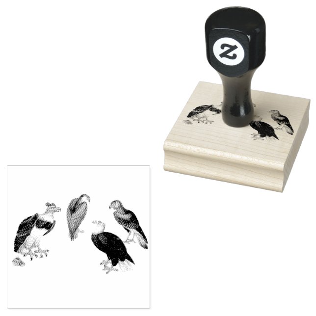 Mixed Eagles Birds Scrapbooking   Rubber Stamp (Stamped)