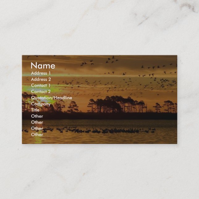 Mixed flock of waterfowl fly at Chinocoteague Business Card (Front)
