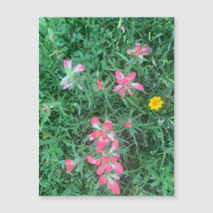 Mixed Flowers Magnet