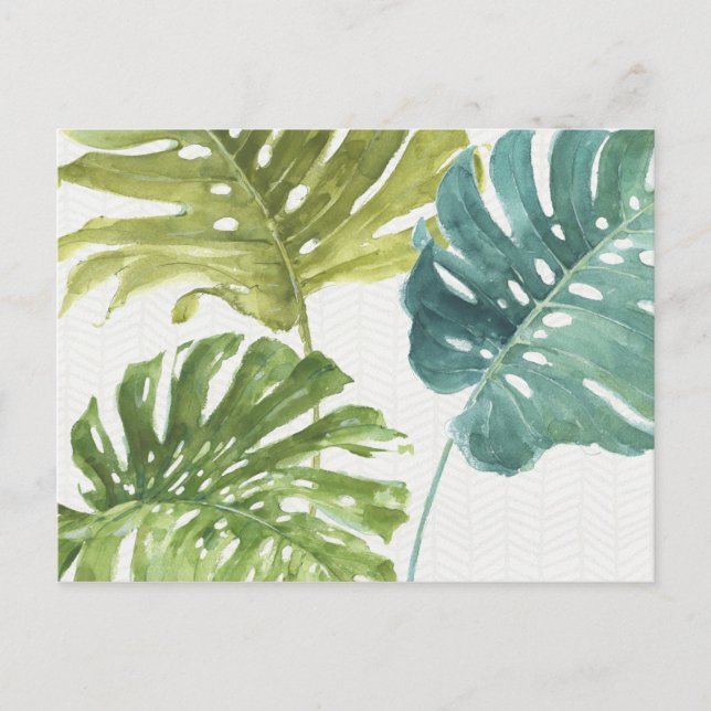 Mixed Greens | Tropical Palms Postcard (Front)