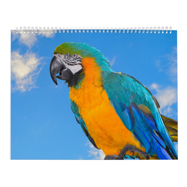 Mixed Parrots Calendar (Cover)