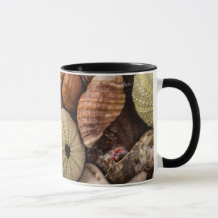 Mixed Sea Shells Mug
