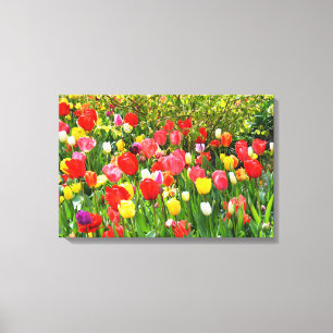 Mixed tulips floral canvas print
