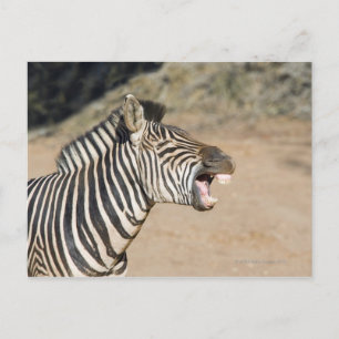 Mkuze Game Reserve, Kwa-Zulu Natal Province, Postcard