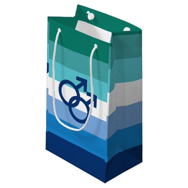 MLM Gay Male Pride Flag Small Gift Bag (Front Angled)