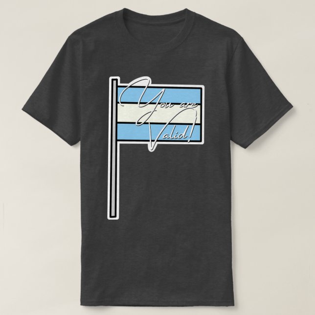 MLM Pride Youre Valid Flag T-Shirt (Design Front)