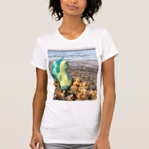 MLP Beachcomber Baby Sea Pony at the Beach