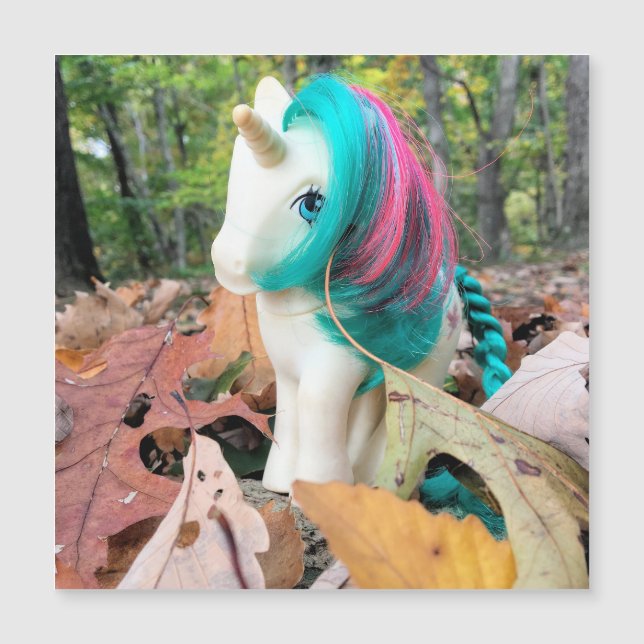 MLP Gusty in Autumn Leaves (Front)