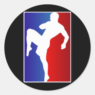 MMA Brizillian Ju Jitso Karate Fighter Classic Round Sticker