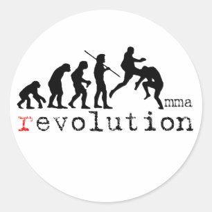 MMA Evolution Chart Flying Knee Sticker