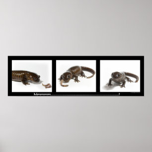 Mmmmmmmmmm...........................! Poster