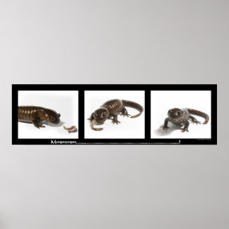 Mmmmmmmmmm...........................! Poster