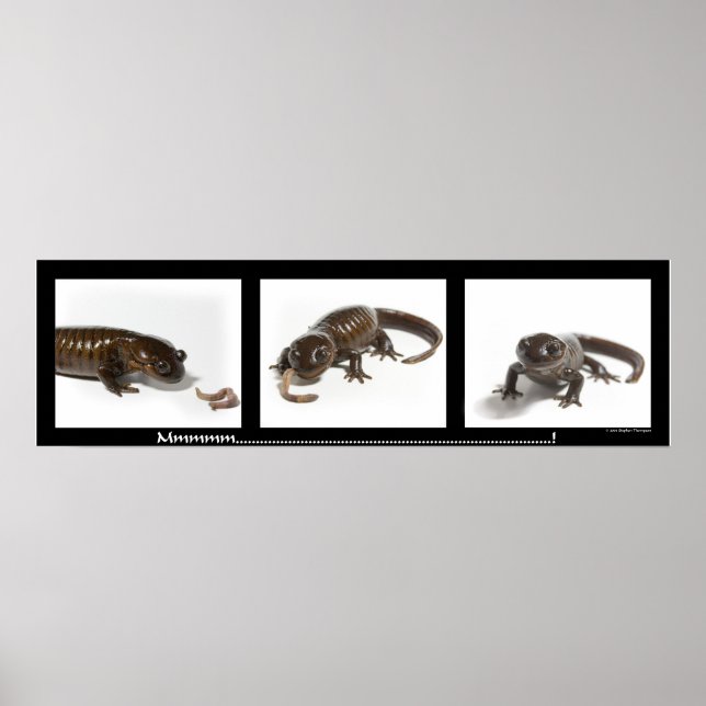 Mmmmmmmmmm...........................! Poster (Front)