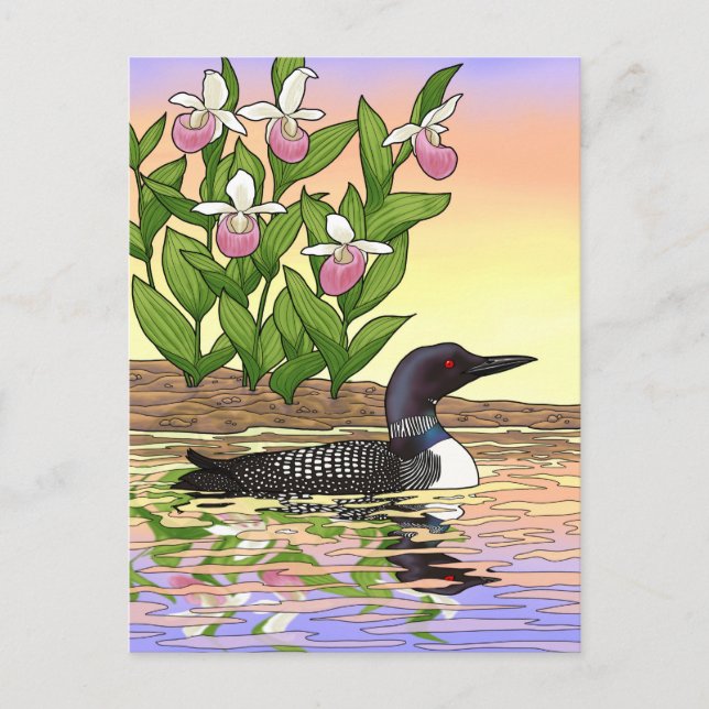 MN State Bird Flower Loon Lady Slipper Postcard (Front)