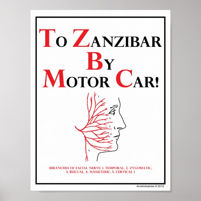 Mnemonic: To Zanzibar By Motor Car Poster (Front)