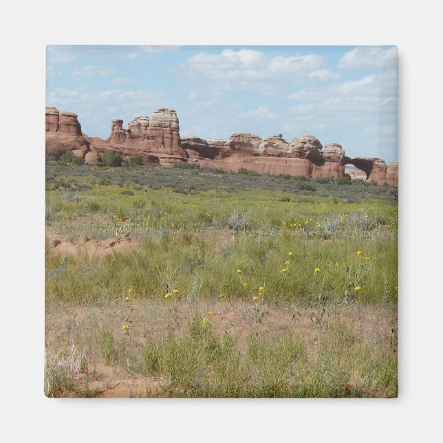 moab scenery magnet (Front)