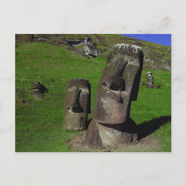 Moai on Easter Island (Rapa Nui) Postcard (Front)