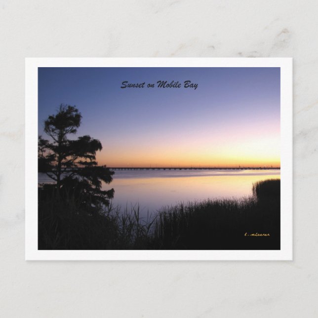 Mobile Bay Sunset Postcard (Front)