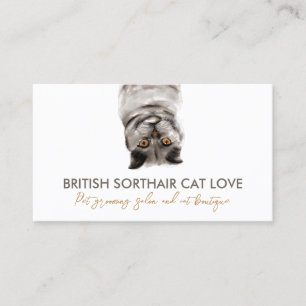 Mobile Cat Vet House Calls Business Card