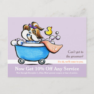 Mobile Pet Grooming Shih Tzu Purple Coupon Mailer Postcard
