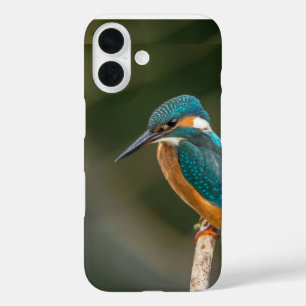 Mobile phone case