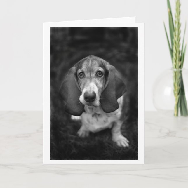 mocca the basset card (Front)