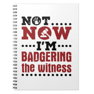 Mock Trial Not Now I'm Badgering the Witness Notebook