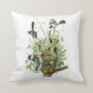 Mocking Bird John James Audubon Birds of America Cushion