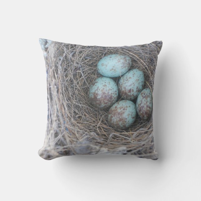 Mocking Bird Nest with Eggs Cushion (Front)